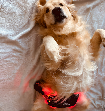 LUMAFLEX Body Pro Ultimate Red Light Therapy Panel – FDA Cleared+ Lumaflex Sun Cloth +Light & Health Guide +Lifetime Access to the Lumaflex Academy